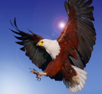 A free photo from Stock.xchng by