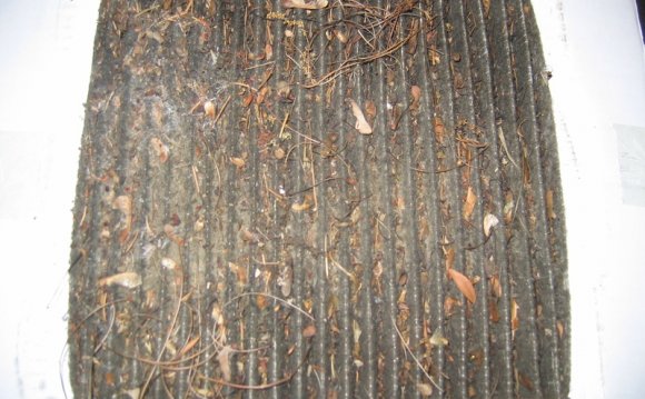 No junk mail Registry