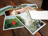 Postcard Printing